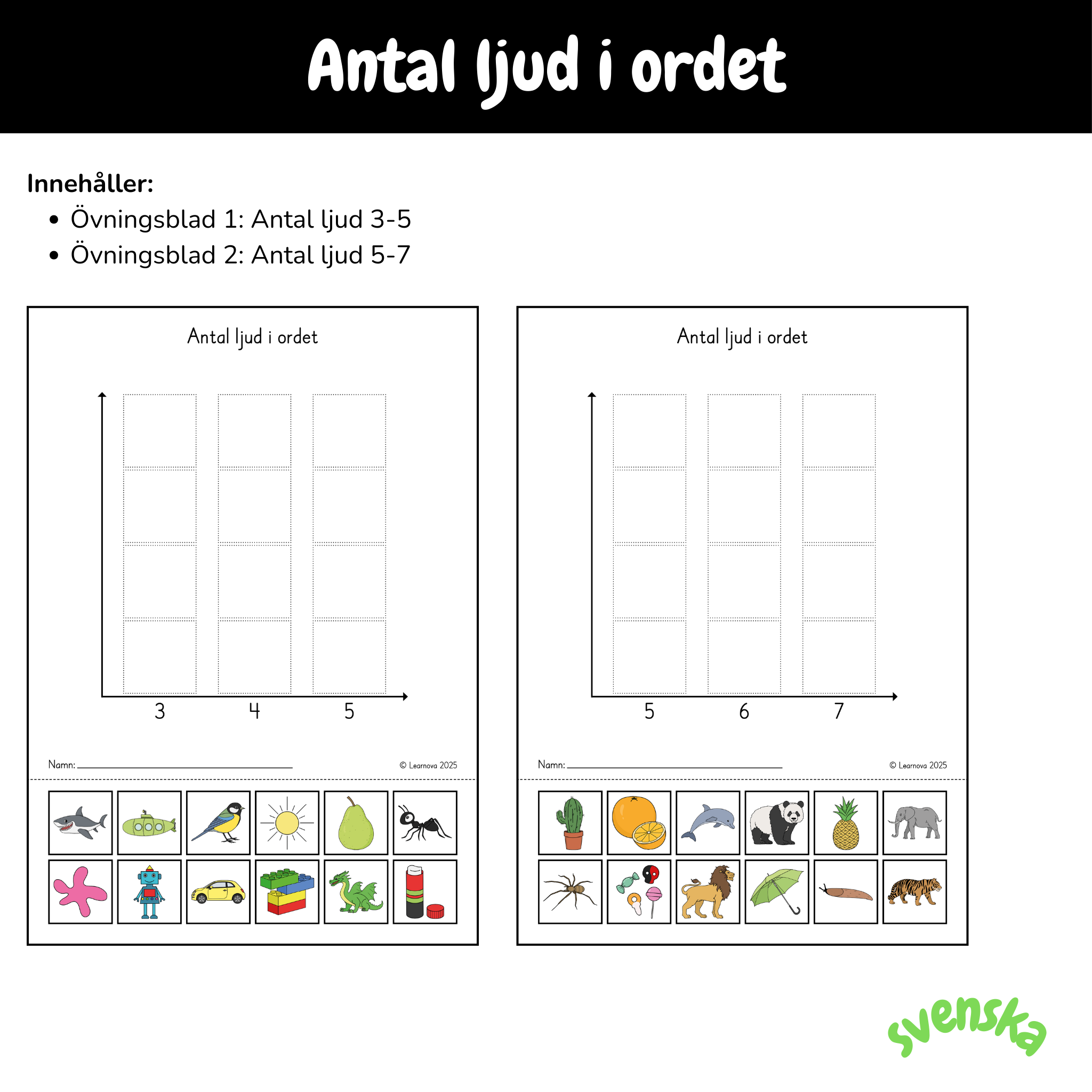 Övningsblad - Antal ljud i orden