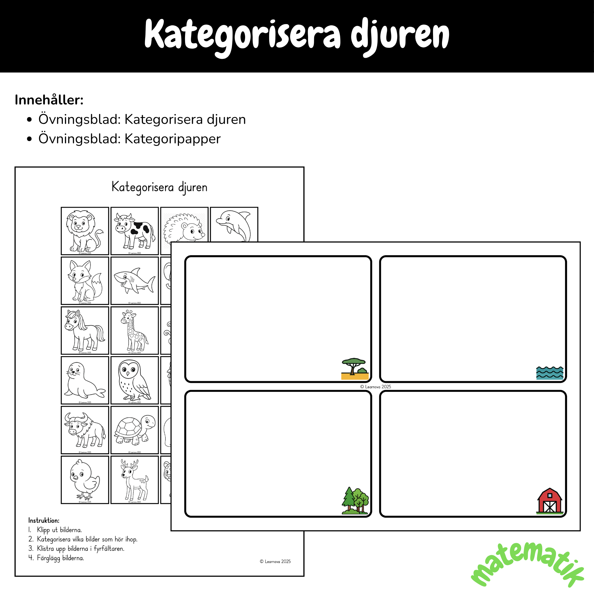 Övningsblad - Kategorisera djuren