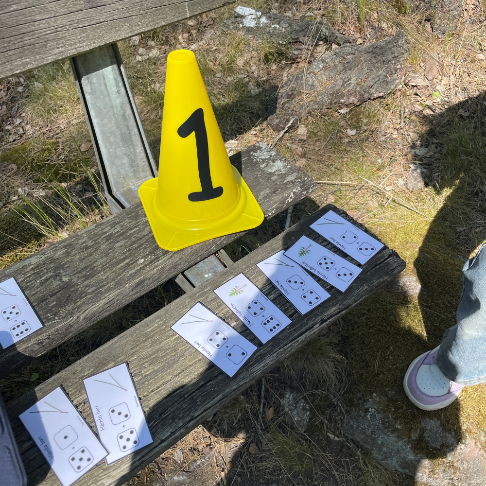 Uppdragskort: Matematik i skogen med skogens material